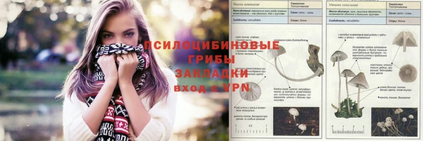 Альфа ПВП Верхний Тагил