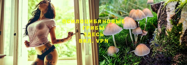 дурь Верея